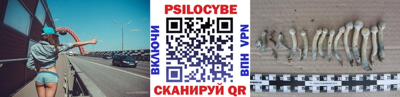 Псилоцибиновые грибы MAGIC MUSHROOMS  Апрелевка 